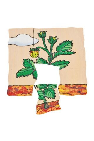 Beleduc Oluşum Ahşap Puzzle – Çilek (30 Parçalı Ahşap Yapboz)