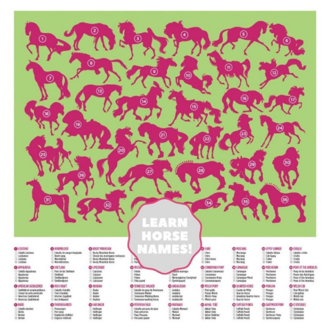 Crocodile Creek Puzzle Atlar 100 Parçalı Yapboz