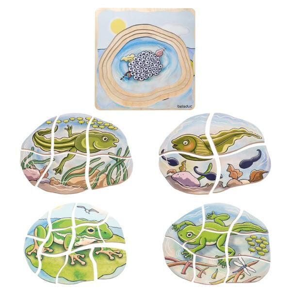 Beleduc Oluşum Puzzle – Kurbağa - 4+Yaş 28 Parçalı Ahşap Puzzle