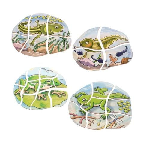 Beleduc Oluşum Puzzle – Kurbağa - 4+Yaş 28 Parçalı Ahşap Puzzle