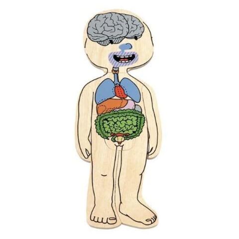 Beleduc Vücudumuzu Tanıyalım Kız 29 Parçalı Ahşap Puzzle