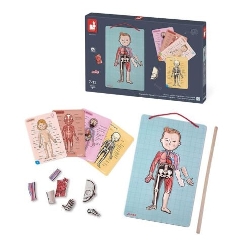 Janod Mıknatıslı Oyun Vücudumuzu Tanıyalım