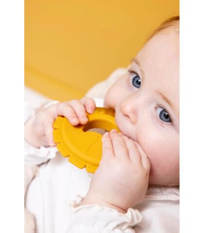 Trixie Mr. Lion Serinletici Diş Kaşıyıcı