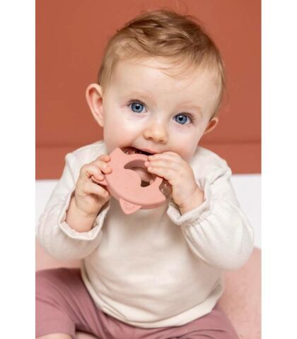 Trixie Mrs. Cat Serinletici Diş Kaşıyıcı