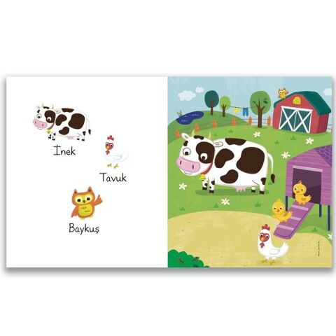 HighLights Baby Find It - Bu Hayvanlar Nerede Yaşar?