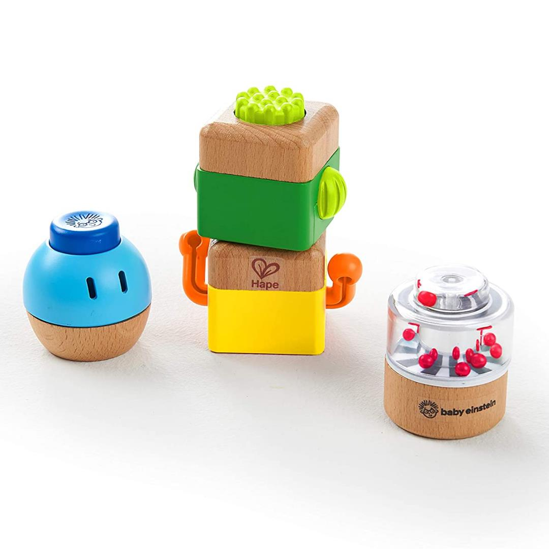 Hape Four Fundamentals Ahşap Duyu Seti / Wooden Sensory Set