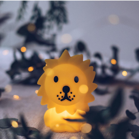 Mr. Maria - Mini Lion Lamba