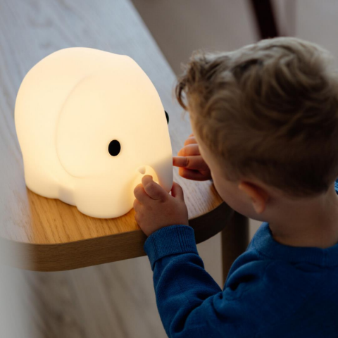 Mr. Maria - Elephant Lamba First Light