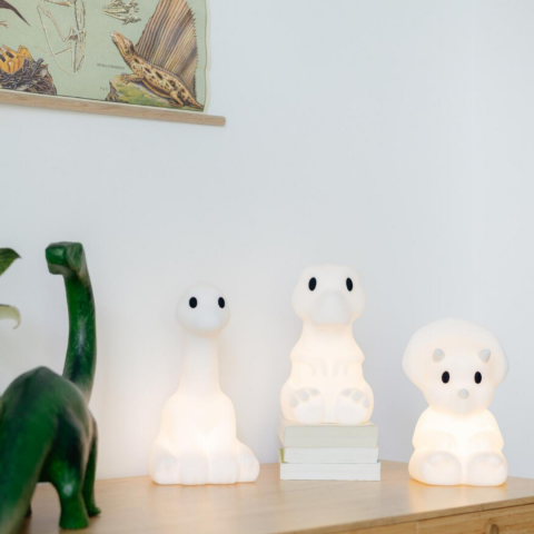 Mr. Maria - Mira Lamba First Light