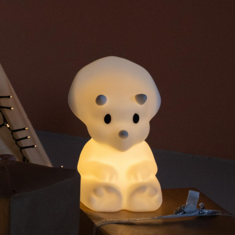 Mr. Maria - Mira Lamba First Light