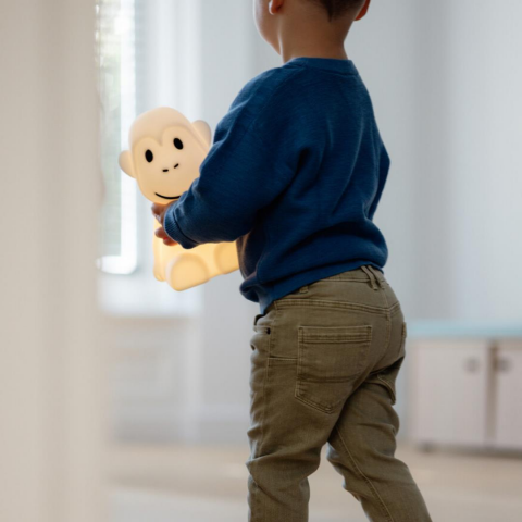 Mr. Maria - Monkey Lamba First Light