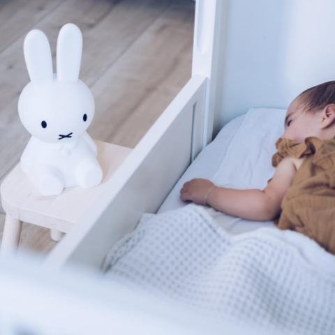 Mr. Maria - Miffy Lamba First Light