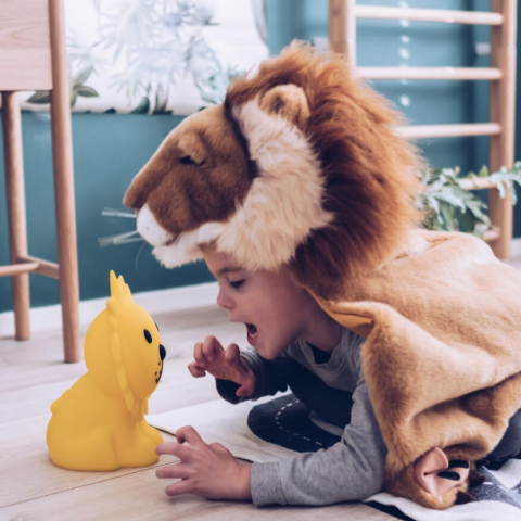 Mr. Maria - Lion Lamba First Light