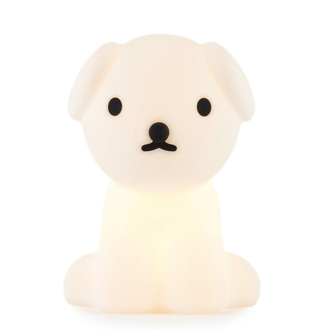 Mr. Maria - Snuffy Lamba First Light