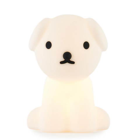 Mr. Maria - Snuffy Lamba First Light