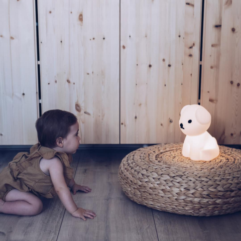 Mr. Maria - Snuffy Lamba First Light