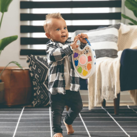 Hape Baby Einstein Sihirli Renk Paleti