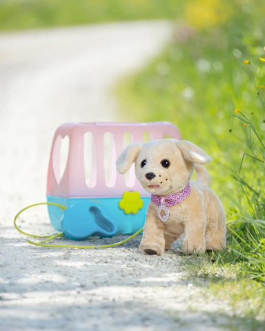 Baby Born Köpeğim Lucky
