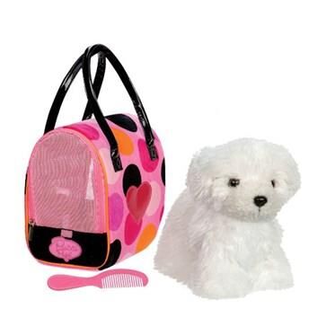 Pucci Pups Bichon Frise ve Tarak