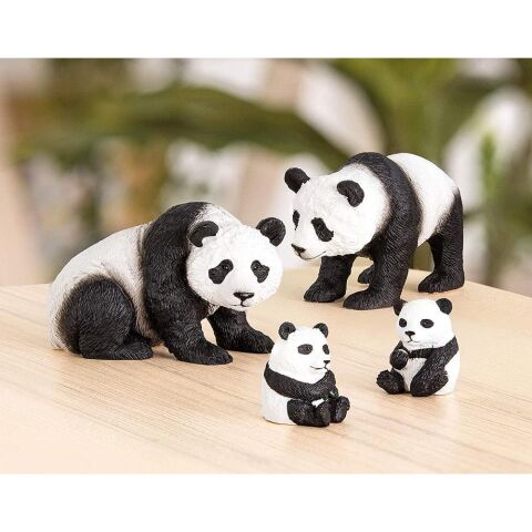 Terra Panda Ailesi