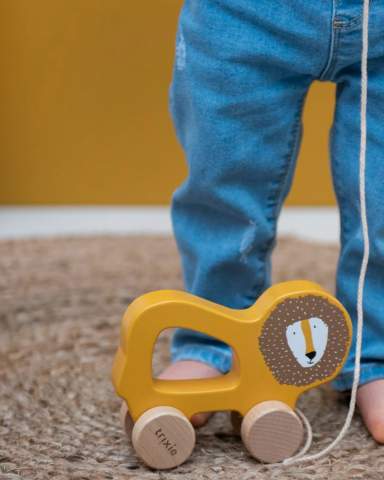 Trixie - Wooden Pull Along Toy - Ahşap İpli Araba - Mr. Lion