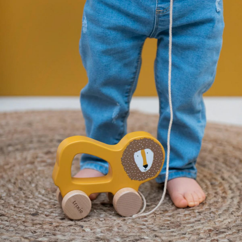 Trixie - Wooden Pull Along Toy - Ahşap İpli Araba - Mr. Lion