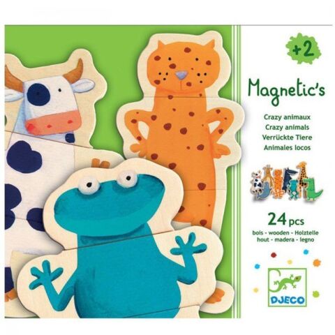 Djeco Mıknatıslı Oyunlar / Crazy