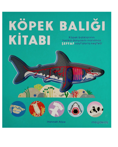 Köpek Balığı Kitabı - Megakids Yayıncılık