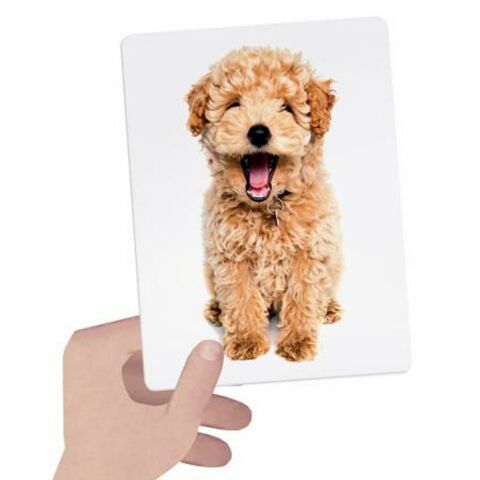 Headu FlashCards Tactile Montessori (1-4 Yaş)