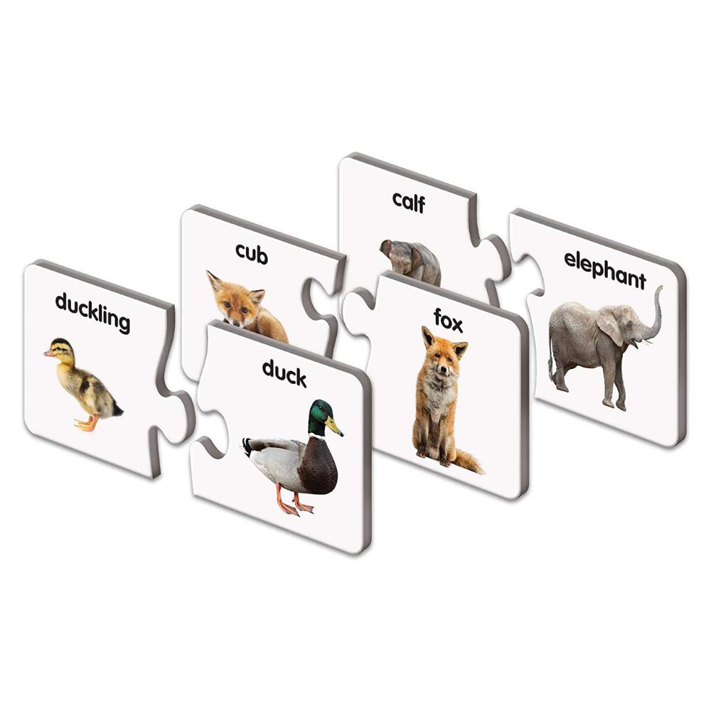 The Learning Journey İngilizce Öğreniyorum / Yavrusu Yetişkini