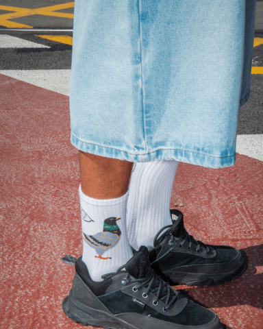 Eat My Socks - Pigeon Yetişkin Çorap