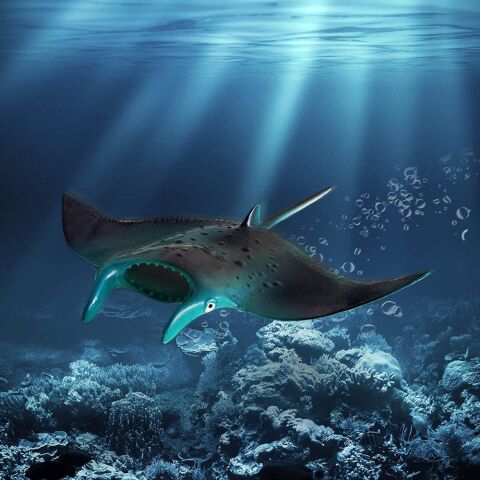 Terra Büyük Oyun Seti Sualtı Dünyası 60 Parça