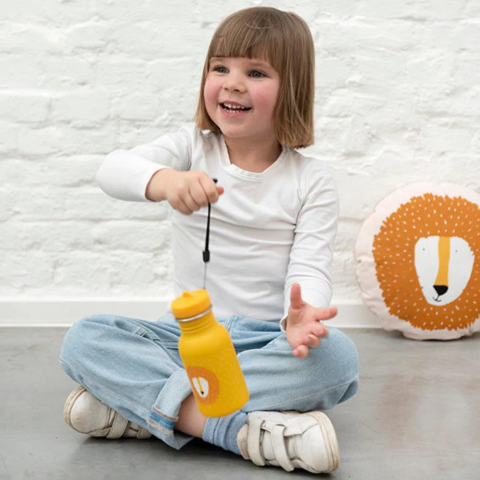 Trixie Mr. Lion - Bottle 350 ML - Su Şişesi