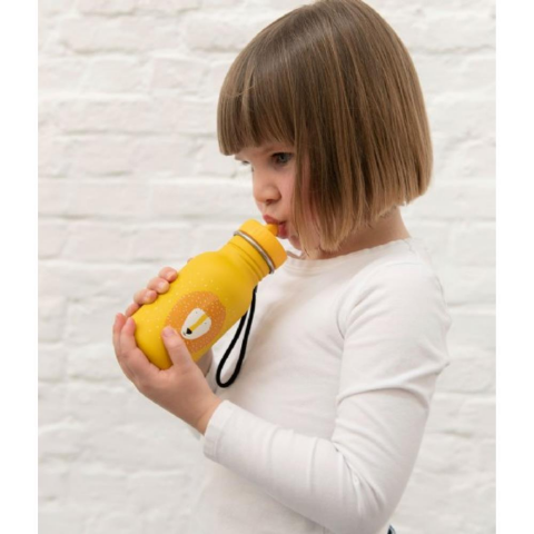 Trixie Mr. Lion - Bottle 350 ML - Su Şişesi