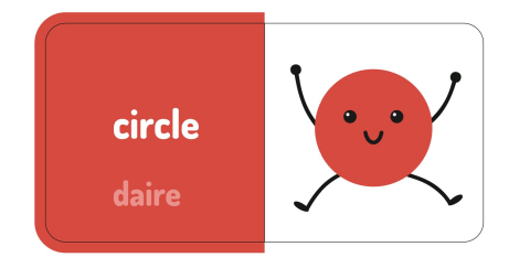 İlk Öğrenme Kitaplarım: My First Books (5 Kitap) - Megakids Yayıncılık