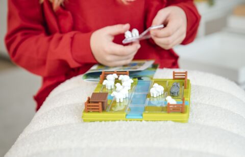SmartGames - Counting Sheep