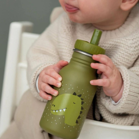 Trixie Mr. Dino - Bottle 350 ML - Su Şişesi