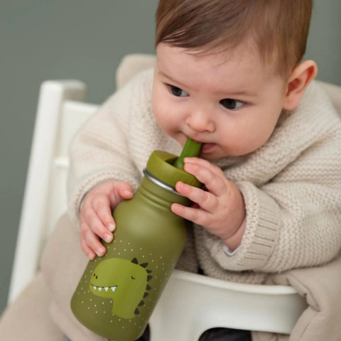 Trixie Mr. Dino - Bottle 350 ML - Su Şişesi