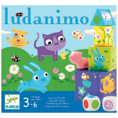 Djeco Beceri Oyunu / Ludanimo