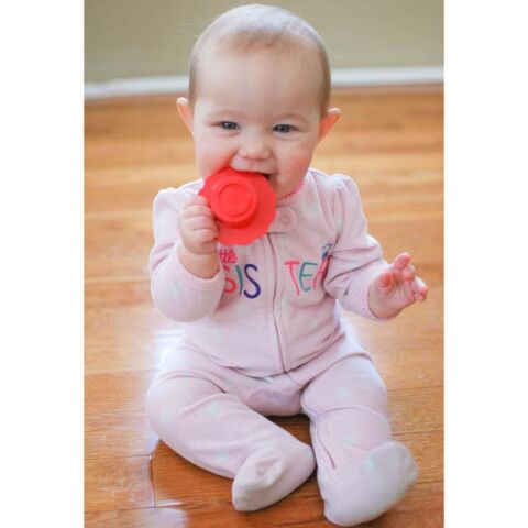 Sophie la Girafe İçiçe Geçebilen Çiçekler