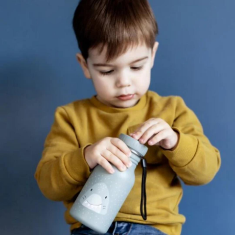 Trixie - Bottle 350ml - Mr.Shark