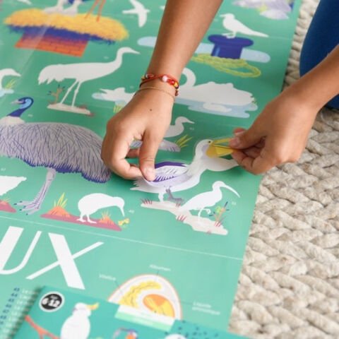 Discovery Birds