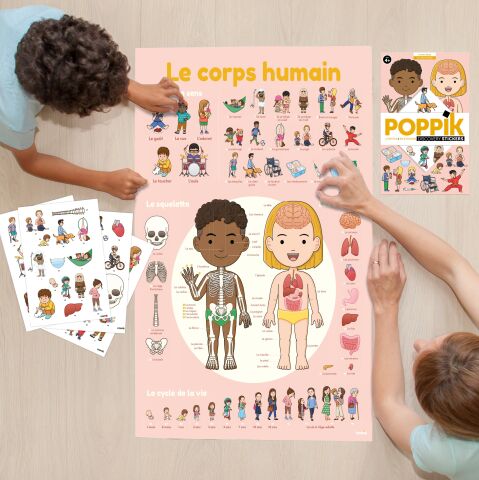 Discovery Human Body