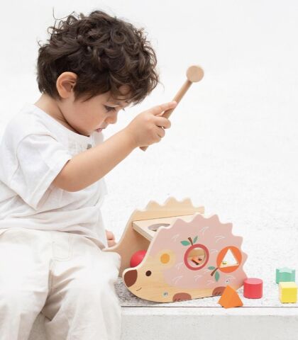 Classic World Ahşap Kirpi Aktivite Oyuncağı