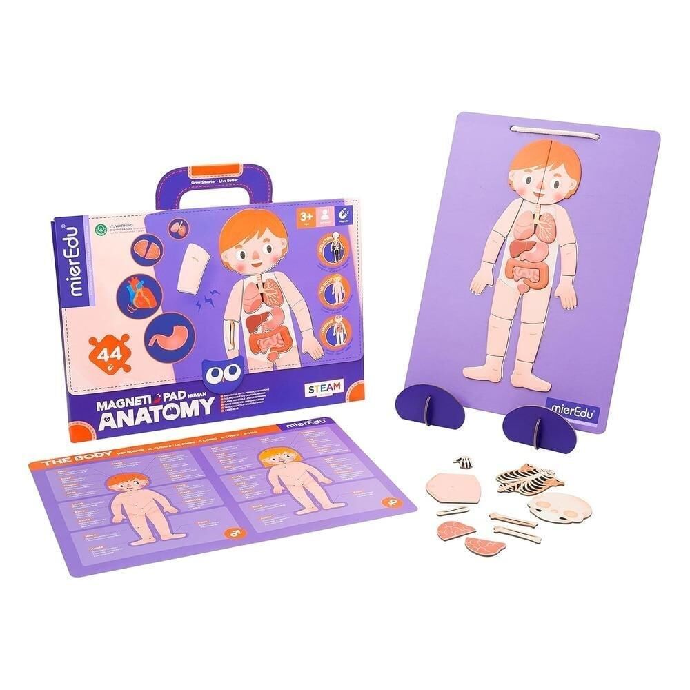 mierEdu - Manyetik Tablet - İnsan Anatomisi