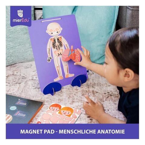 mierEdu - Manyetik Tablet - İnsan Anatomisi