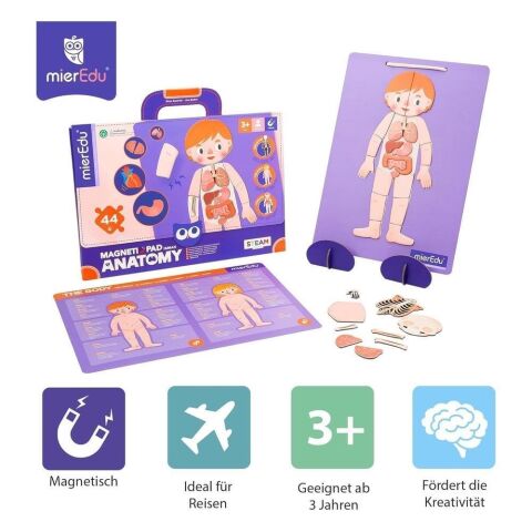 mierEdu - Manyetik Tablet - İnsan Anatomisi