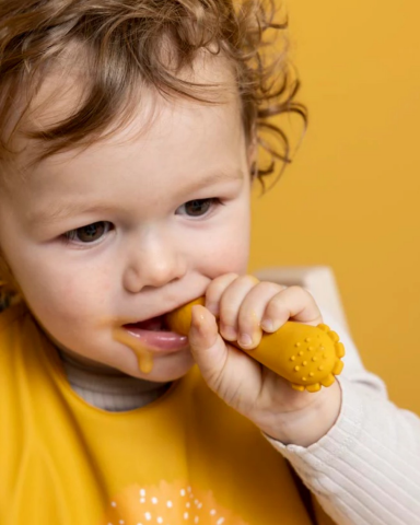 Trixie Mr. Lion - 2li Silikon Bebek Kaşığı Seti