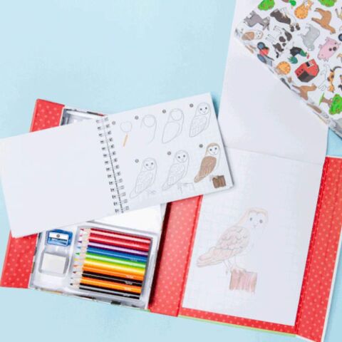 Tiger Tribe Resim Nasıl Çizilir? / On The Farm - How to Draw