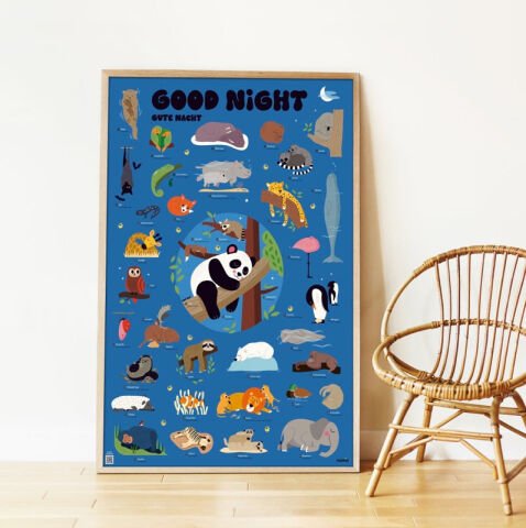 Discovery Good Night